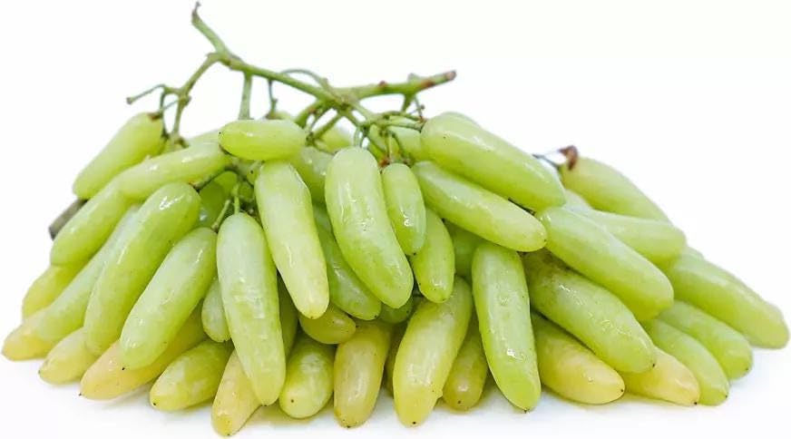 Bench-Grafted Anushka Grapes